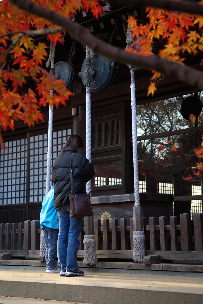 本土寺・秋 (4)