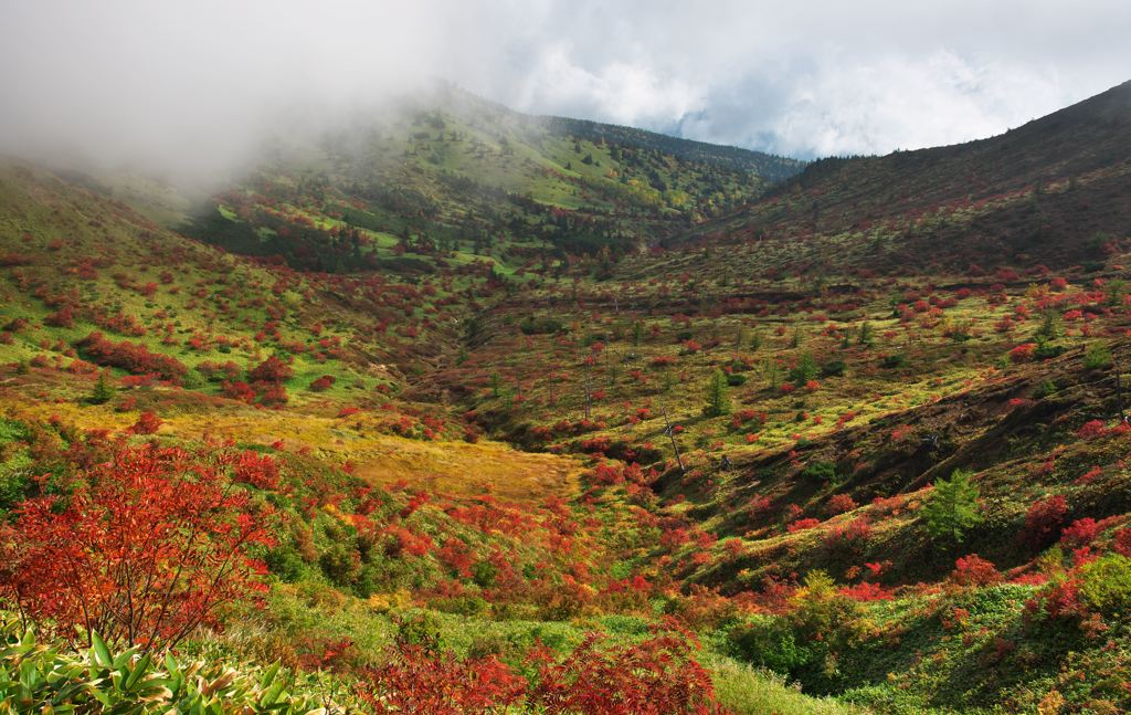 草津白根山高原ルート (2)