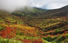 草津白根山高原ルート (2)