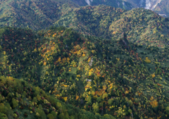 草津白根山 (8)