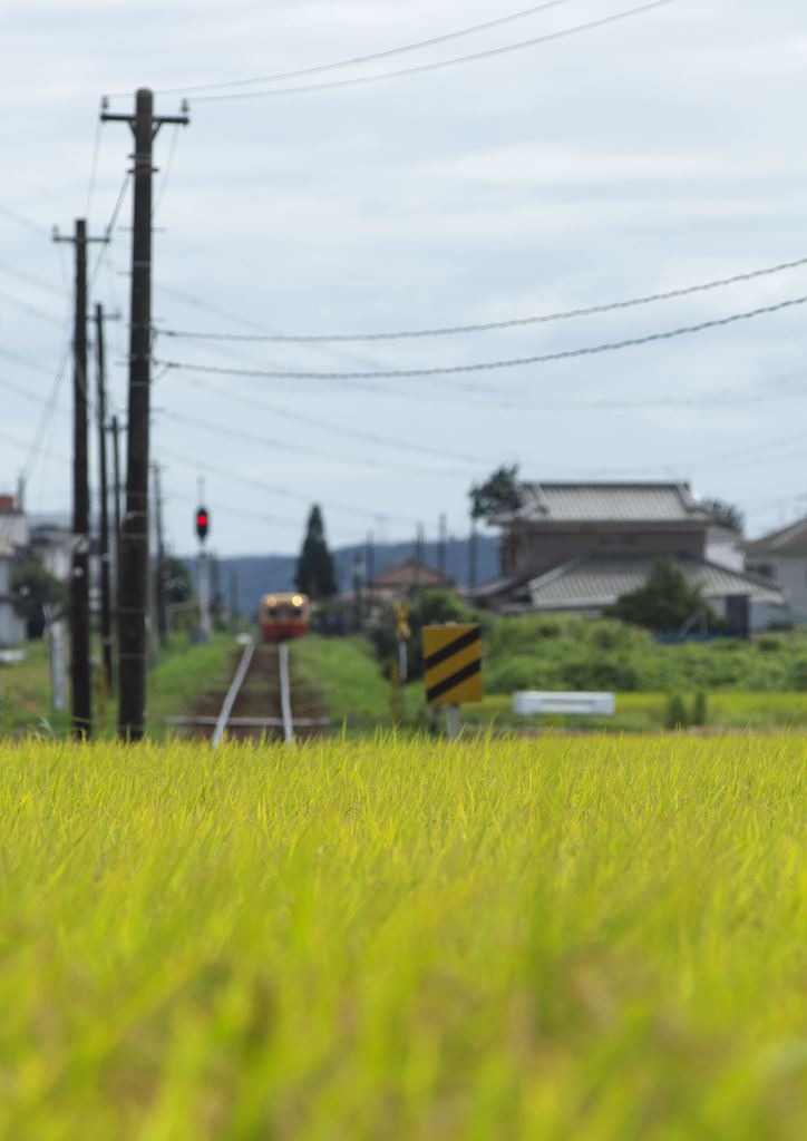 山田駅近辺にて