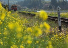 春の川間駅