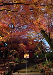 本土寺・秋 (12)