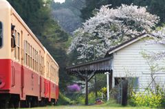 春の月崎駅