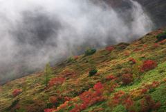 草津白根山高原ルート (4)