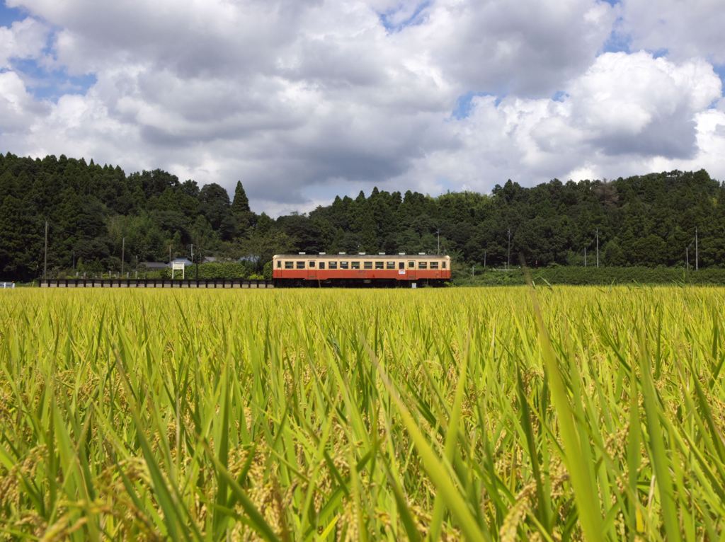 川間駅にて　１