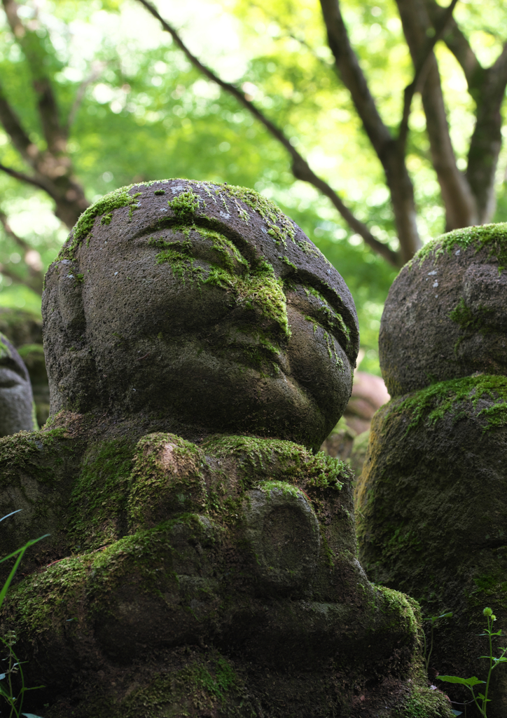 愛宕念仏寺 (5)