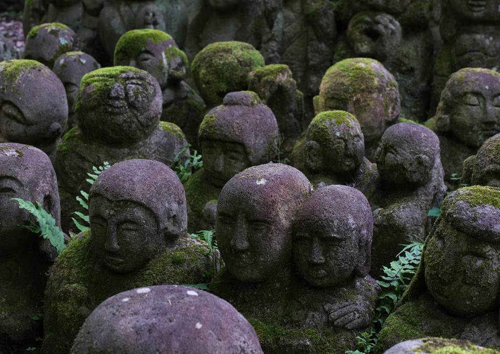 愛宕念仏寺 (7)