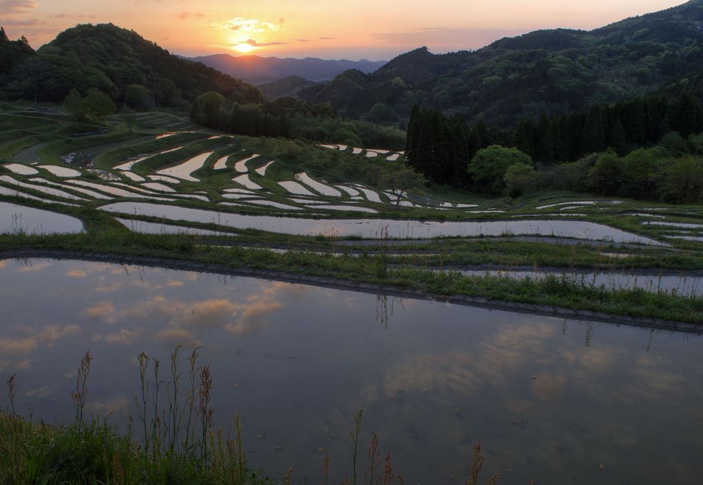 夏初月