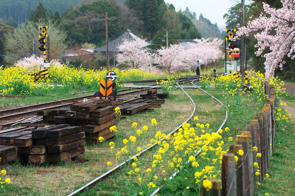 春の里見駅