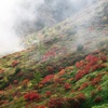 山田峠　２