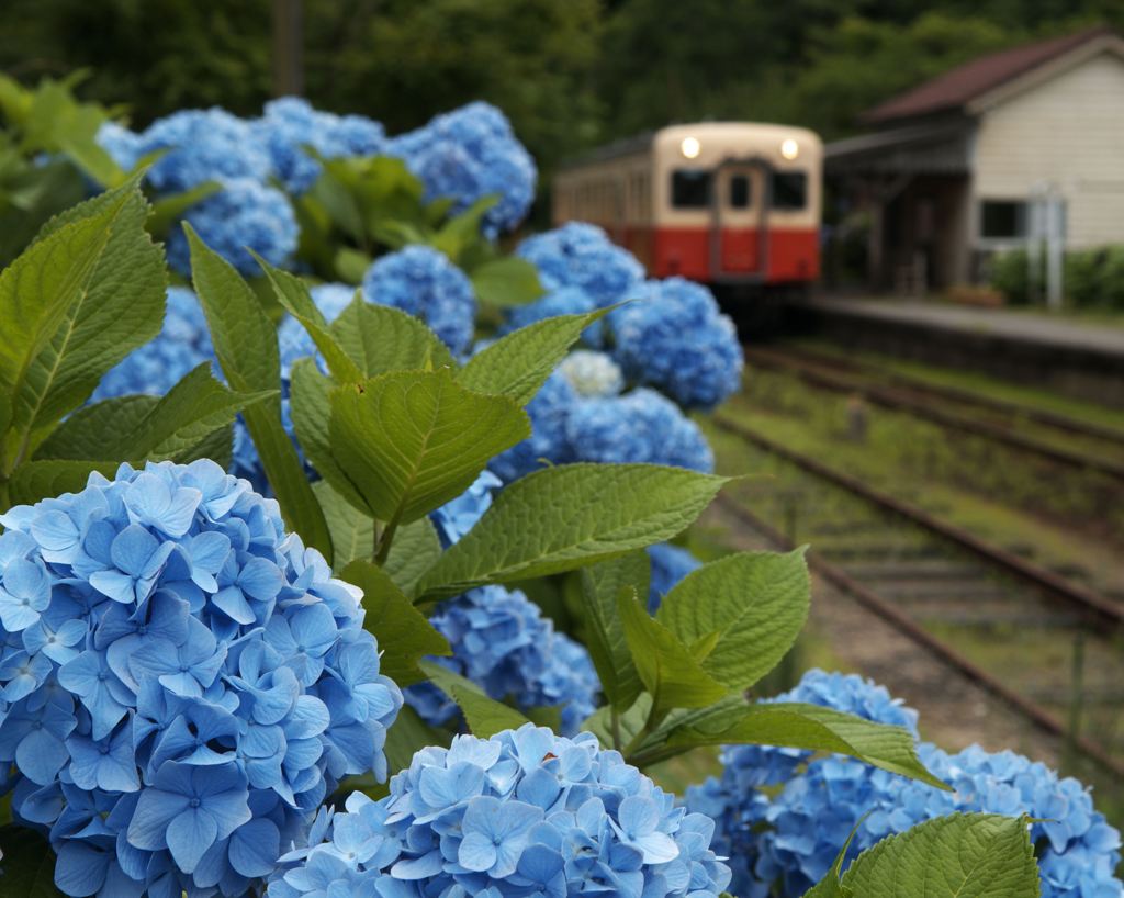 月崎駅にて