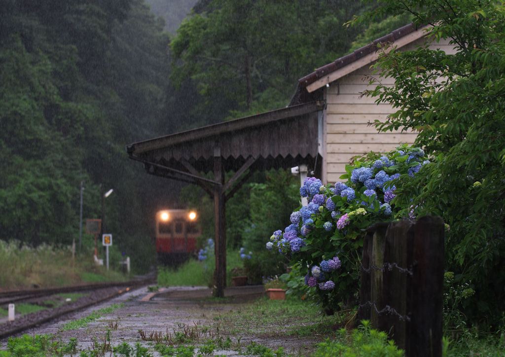 紫陽花の待つ駅　２