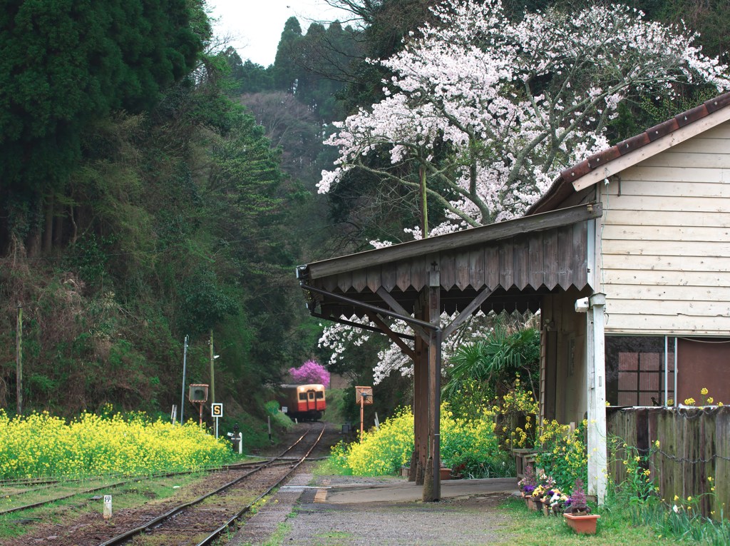 花の駅