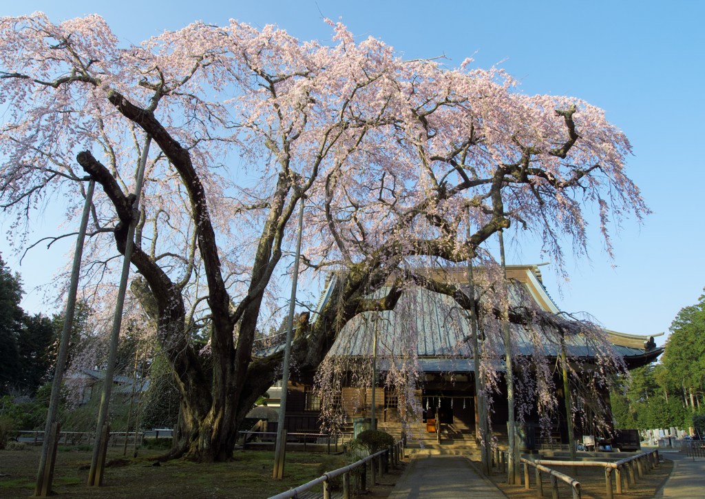 長光寺
