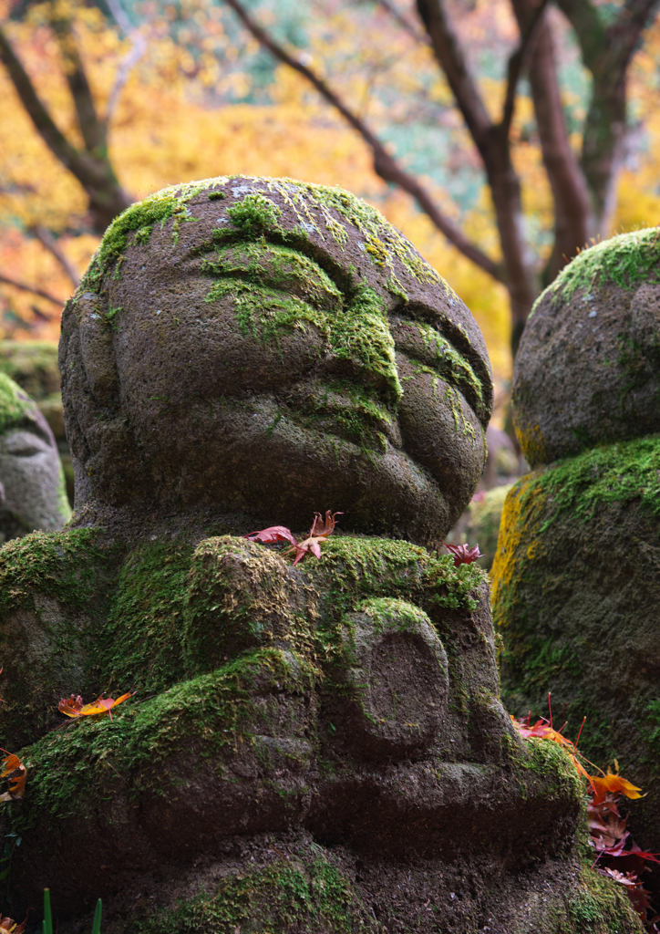 愛宕念仏寺（R）