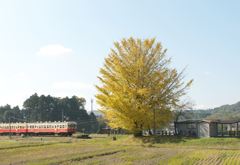 黄落の駅