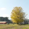 黄落の駅