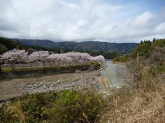 春の嵐に耐えて