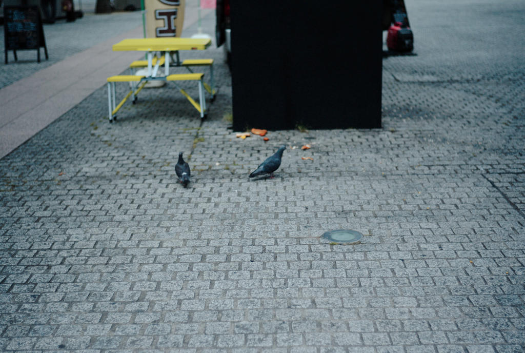 鳩のおやつ
