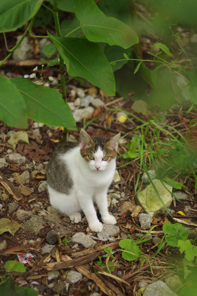 PICT5739