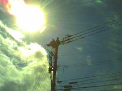 PICT0020