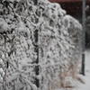 雪