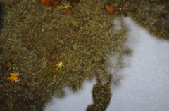 水面