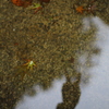 水面