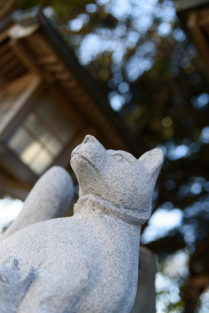見上げる