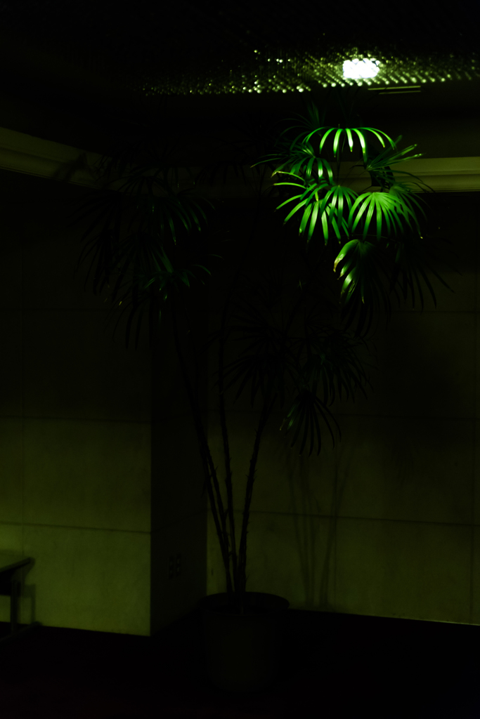 夜の青