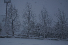 DSC00417