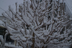 DSC00415
