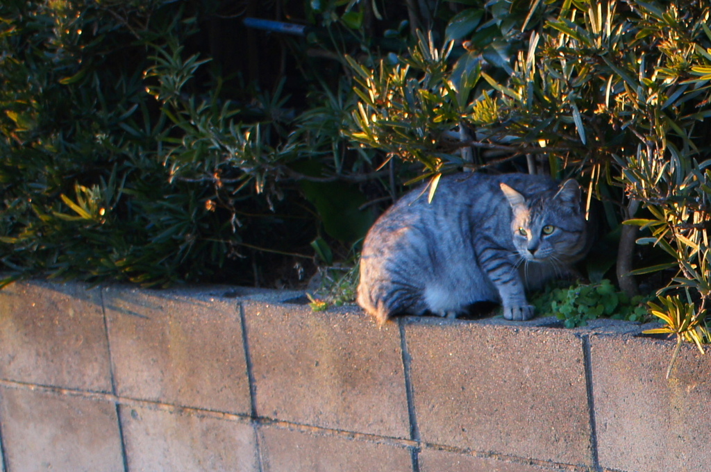 DSC00391