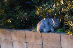 DSC00391