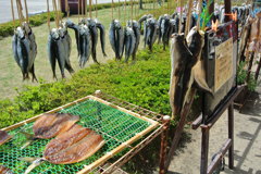 天日干し