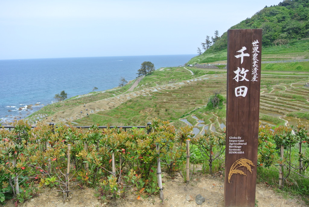 世界農業遺産