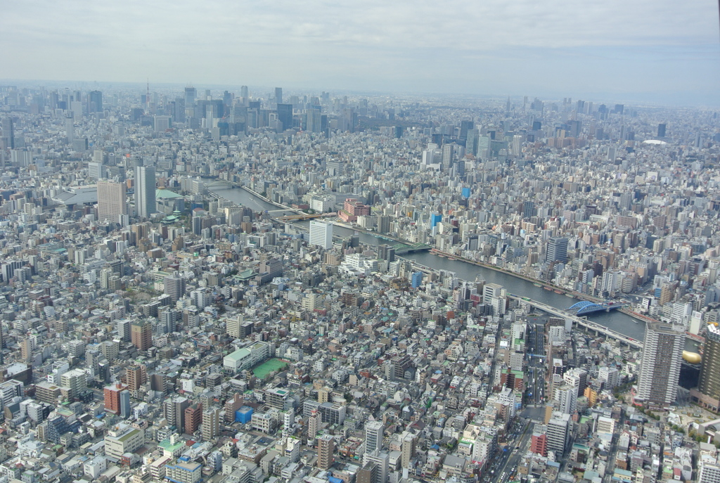 東京
