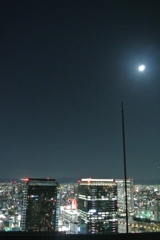 十五夜