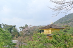 金閣寺