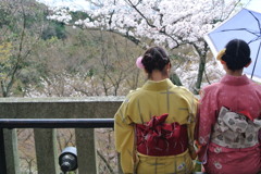 着物のお姉さん
