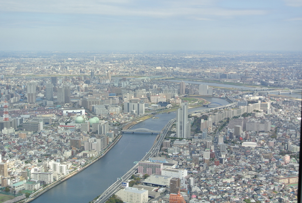 東京
