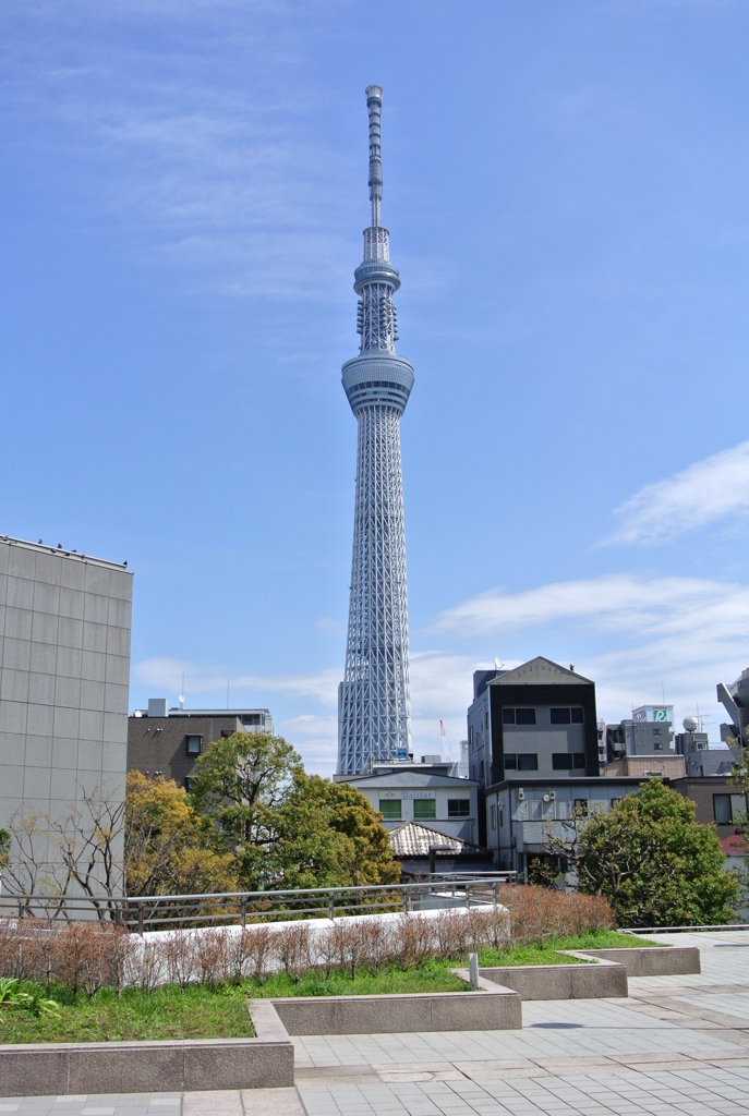 東京スカイツリー