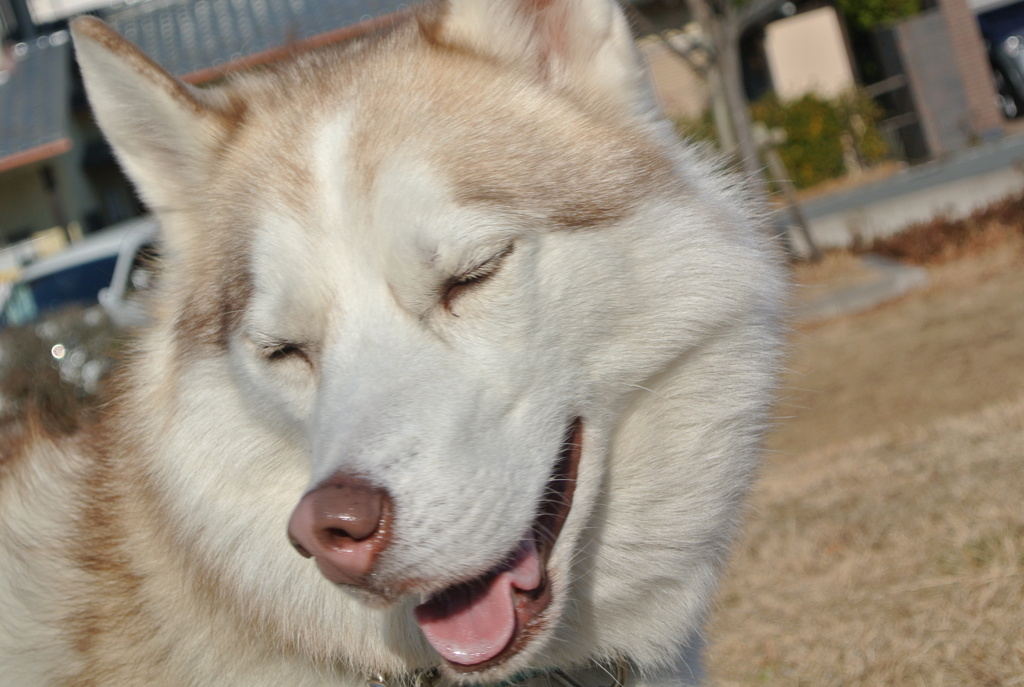 ぬへへ