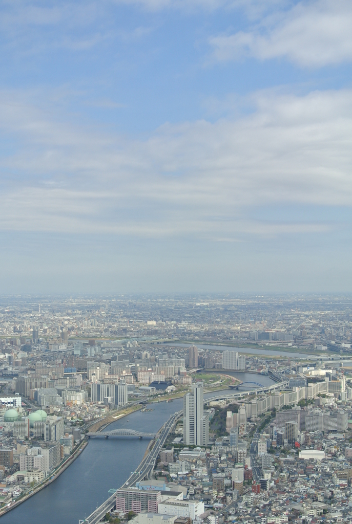 東京