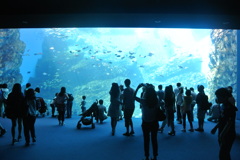 水族館