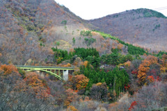みどりの橋