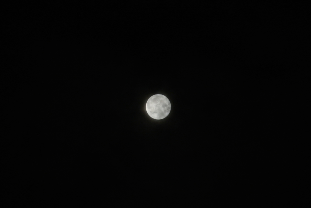 秋の夜長