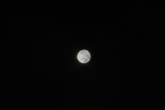 秋の夜長