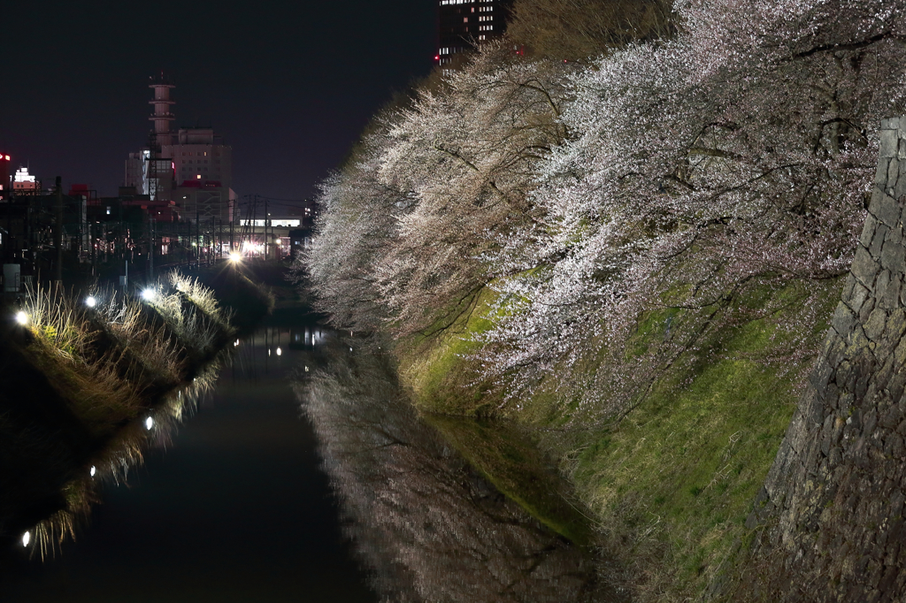 咲前夜
